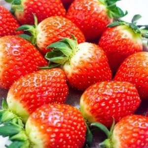 산해직송  설향딸기 특 20~30과 700g