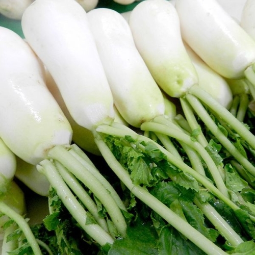 더조은푸드  싱싱한 황토 세척 알타리무 5kg