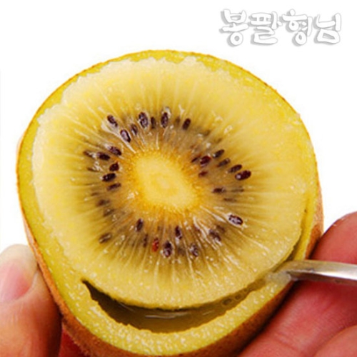 봉팔형님  전라도 골드키위 75과내외 5kg