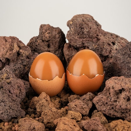 제주웰빙영농조합  애월아빠들 제주 화산석 구운란 30구