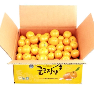 농협  귤로장생 햇 조생감귤 중대과 4.5kg