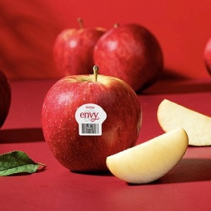 감동  엔비사과 소과 24~30과 5kg