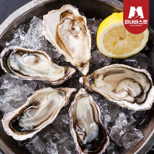 마녀바스켓  통영 하프셀굴 반각굴 23~26미