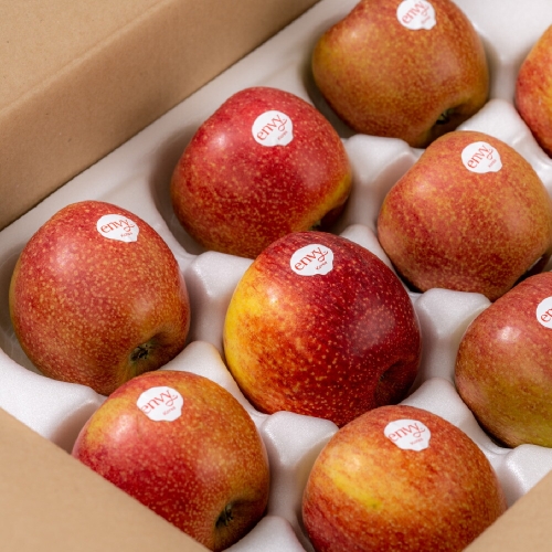 산해직송  정품 충남 예산 엔비사과 대과 36과내외 10kg