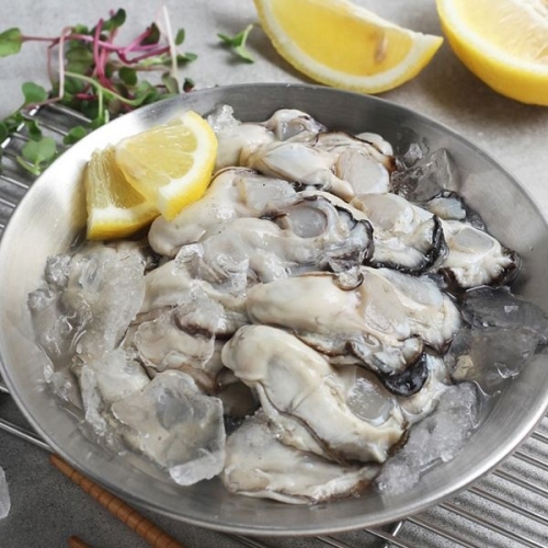 씨토랑  경남 통영 생굴 40마리내외 1kg