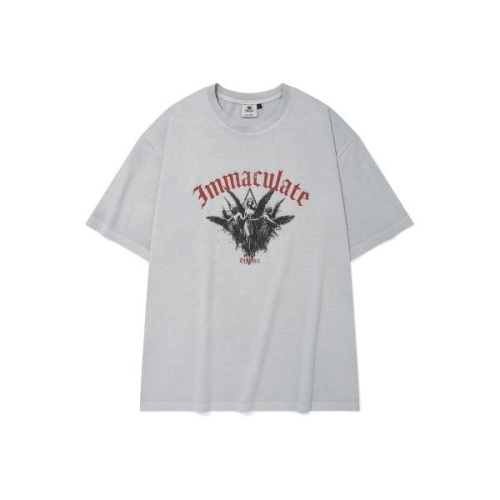 피그먼트 MD PICK 디스펑트 DYSFUNCT IMMACULATE T-SHIRT GRAY P0000BNN 104256