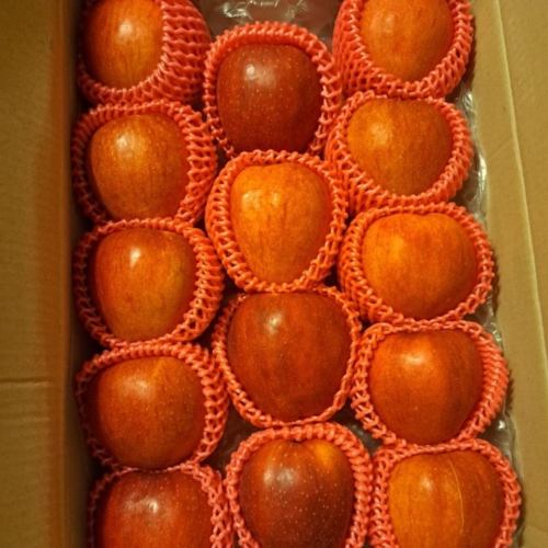 팜보스  가정용 부사사과 실속형 28과내외 4kg