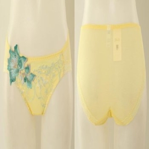 와코루 살루트 프리미엄 플로럴 자수 망사 팬티_C SDPT0452AYE_C