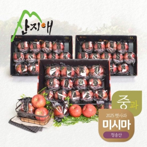 산지애 블랙라벨 사과 39~42과 9kg