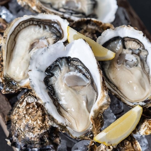 자연맛남  통영 햇 굴 하프셀 1단 23~26미 1.2kg내외