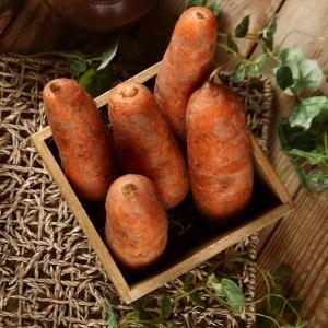 햇살조은  흙당근 3kg