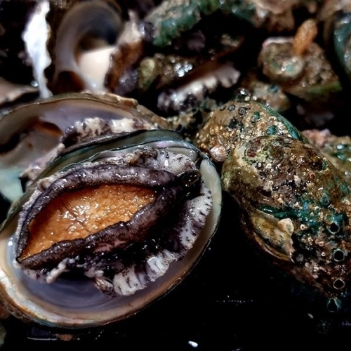 자연맛남  산더미 꼬마전복 35~60미내외 1kg