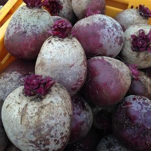 햇살조은  레드 비트 3kg