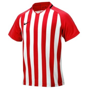 나이키  스트라이프 디비전 III 저지 S/S_894081-658