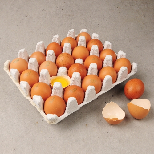 명가일품  난각번호 1번 자연방목 신선 유정란 30구