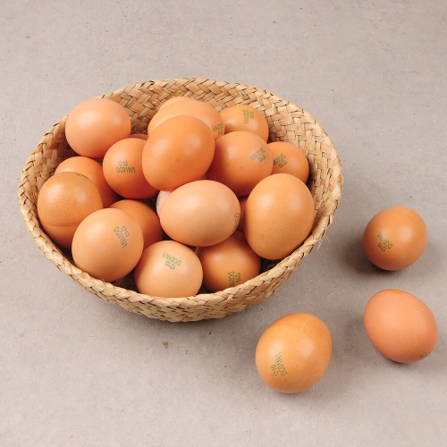 명가일품  난각번호 1번 자연방사 홍삼먹은 유정란 홍삼란 20구