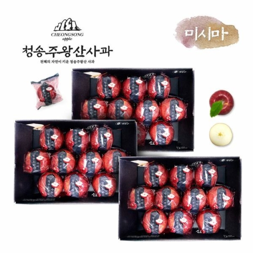 송원에이피씨  프리미엄 청송 주왕산사과 대과 2.7kg