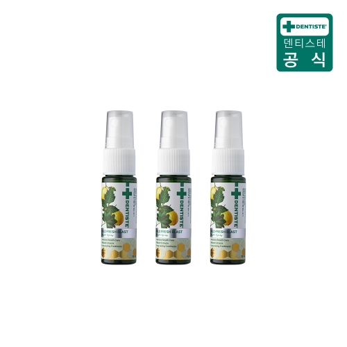 DKSH 덴티스테 마일드 후레쉬 블라스트 스프레이 15ml