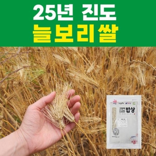 산들바람  진도 늘보리쌀 800g