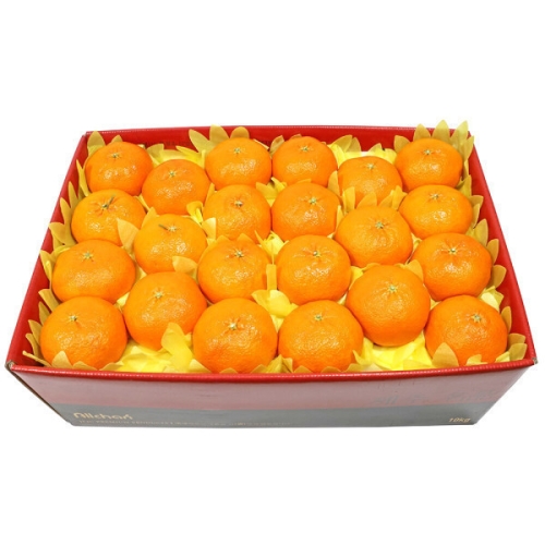 삼다몰  제주 레드향 특대 (38~47과) 10kg