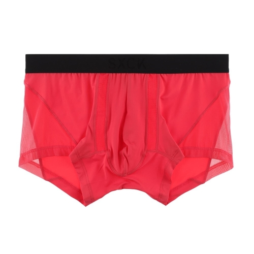 섹시쿠키 섹시볼륨 핑크 드로즈_SCMDX101