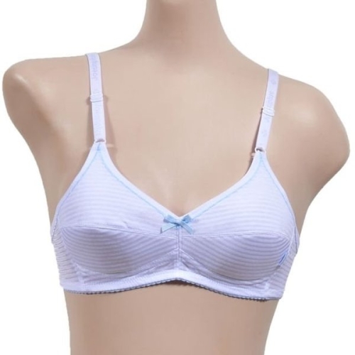 조은 매력 스트라이프 주니어2단계 B컵브라 WFIE2WN