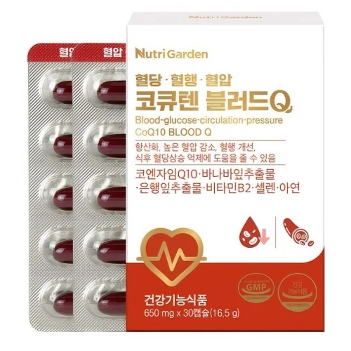 뉴트리가든 코큐텐 블러드Q 30정
