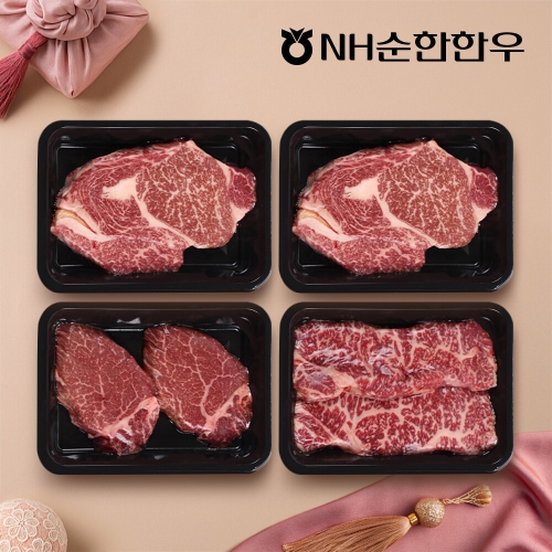 NH순한한우  1++(9)등급 한우 구이 선물세트 2호 1.2kg