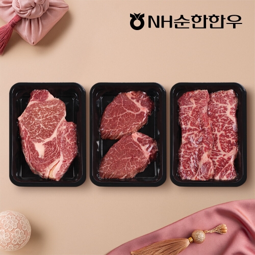 NH순한한우  1++(9)등급 한우 구이 선물세트 1호 900g