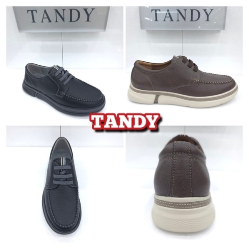 탠디 남성 캐주얼 Y2N5E052_SH