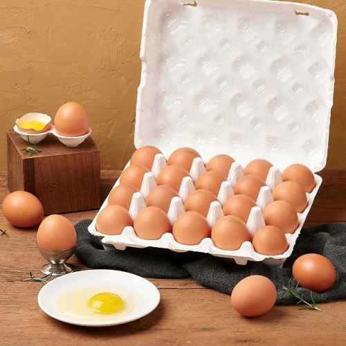 전라도청년  무항생제 난각번호 1번 자연방사 유정란 20구