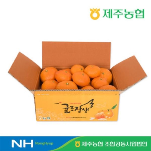 제주농협조합공동사업법인 2026 귤로장생 제주 레드향 12~24개 3.5kg
