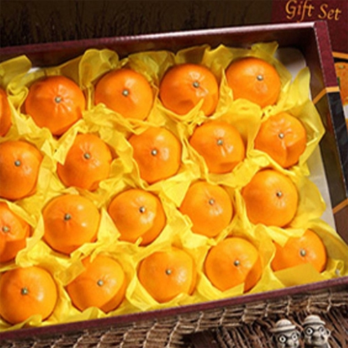 올탑농원  산지직송 천혜향 중소과 23-28과 5kg