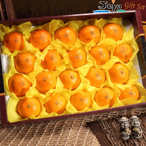 올탑농원  산지직송 레드향 중대과 16-22과 5kg