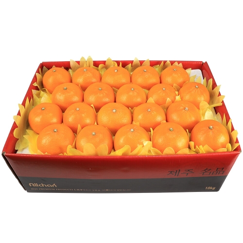 삼다몰  제주 천혜향 특대 34~47과 10kg