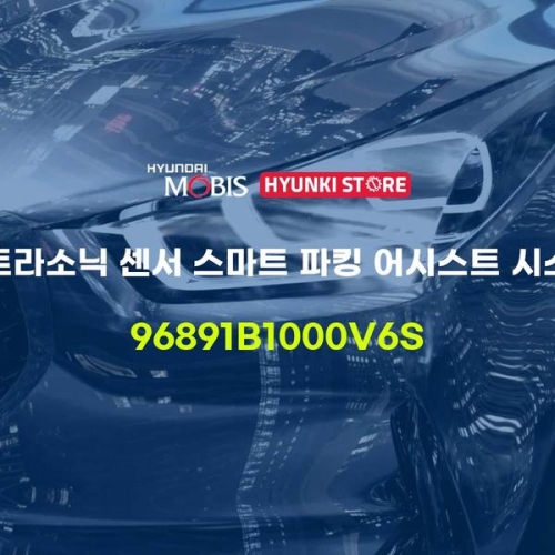 울트라 소닉 센서 스마트 파킹 어시스트 시스템 96891B1000V6S 현대모비스부품몰