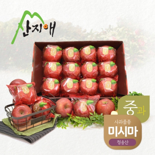 산지애  씻어나온 사과 중과 청송산 2.7kg
