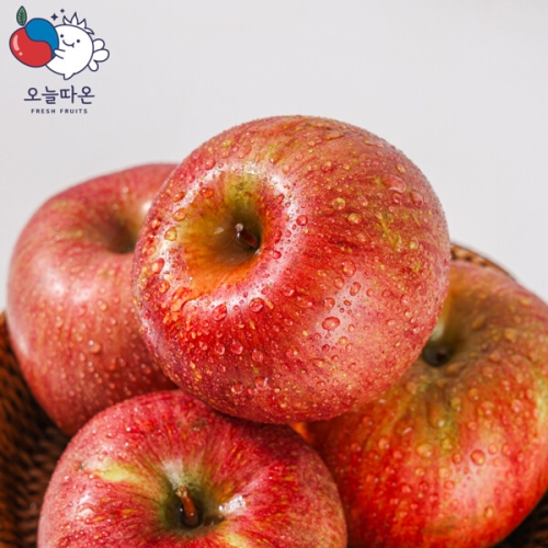 오늘따온 거창 알뜰 실속사과(부사) 7kg