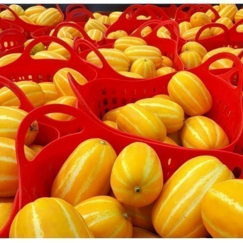 석군참외농장 가정용 성주 참외 소과 5kg