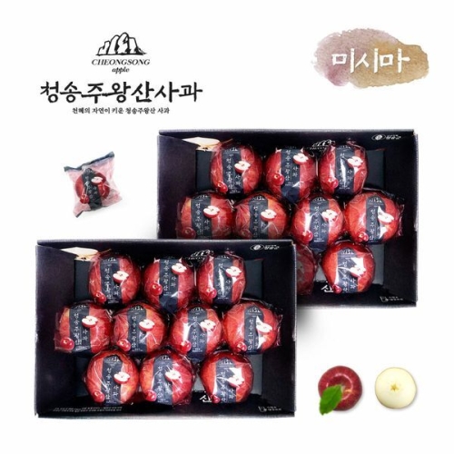 송원에이피씨 프리미엄 청송 주왕산사과 대과 2.7kg