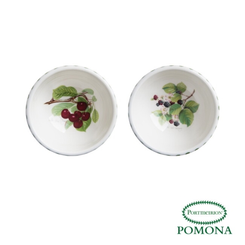 포트메리온 포모나 공기 12cm