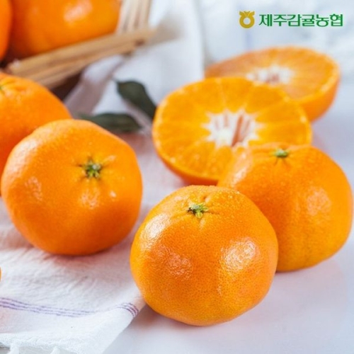 제주감귤농협  2026 특등급 햇 레드향 3kg