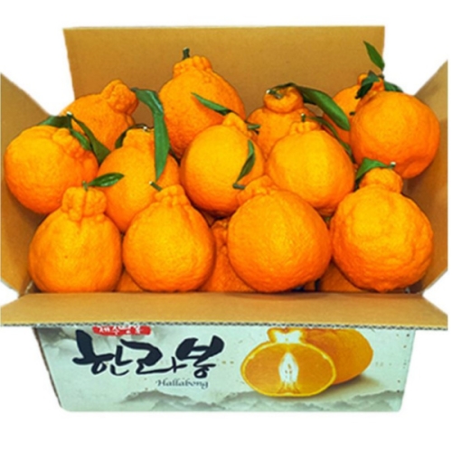 감귤나라  고당도 노지 한라봉 혼합과 10kg