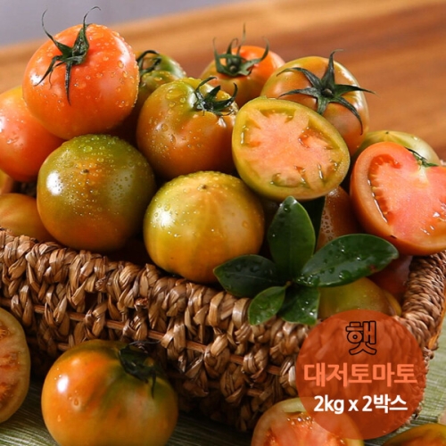 도림토마토  2026년 햇 대저토마토 2kg