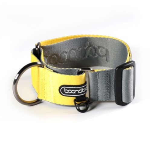 분독 마틴게일 와이드 목줄 그레이레몬