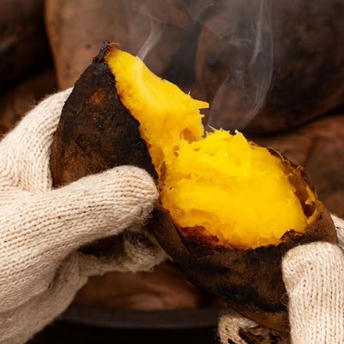 화산농협  해남 황토 호박고구마 4kg + 꿀고구마 4kg