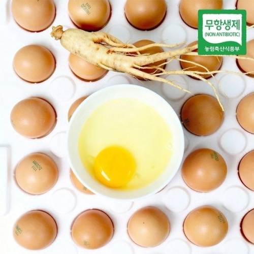 해뜨락  안동 홍삼란 30구