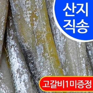 임피수산  반건조 풀치 45~52cm [25개]