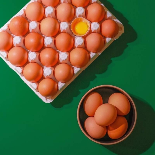 농사지음 난각번호 1번 방사 유정란 40구