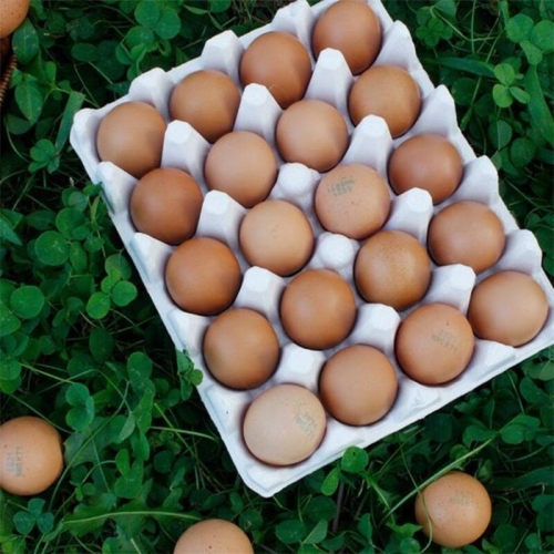 참다올  난각번호 1번 파손보장 무항생제 유정란 대란 20구